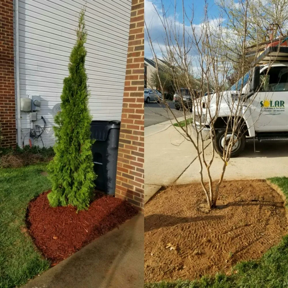 Trusted outdoor landscaping in Bristow, VA - Solar Landscaping & Tree Service