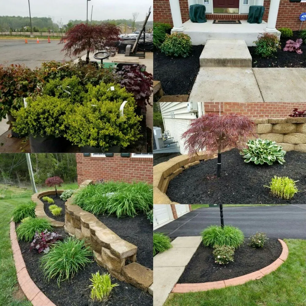 Custom outdoor landscaping near you across Bristow, VA - Solar Landscaping & Tree Service