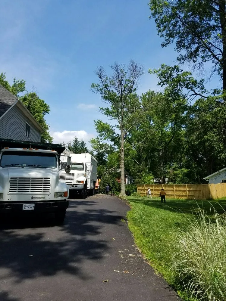 Local yard maintenance in Bristow, VA - Solar Landscaping & Tree Service