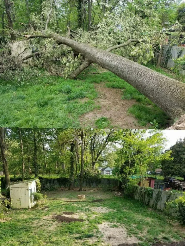 Trusted outdoor landscaping in Bristow, VA by Solar Landscaping & Tree Service