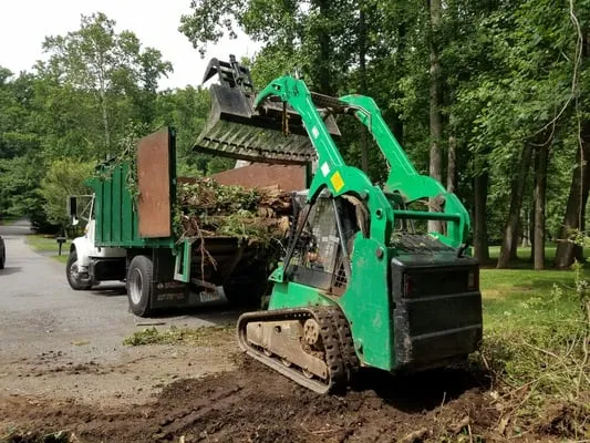 Solar Landscaping & Tree Service Logo