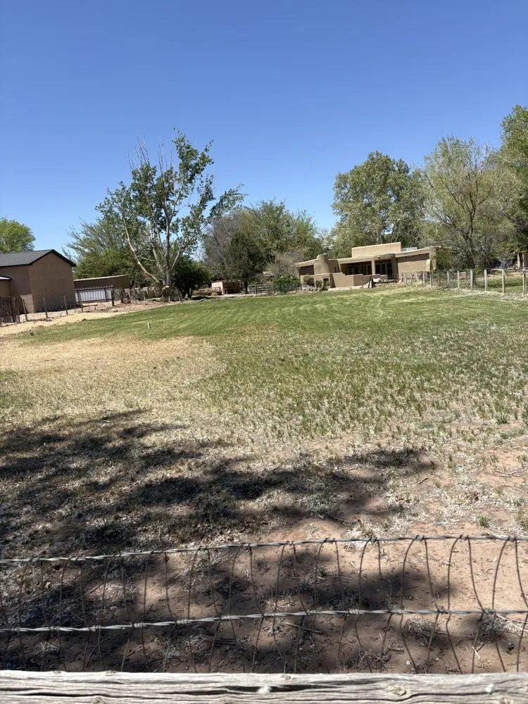 Affordable residential landscaping experts serving Albuquerque, NM - Solar Plexus