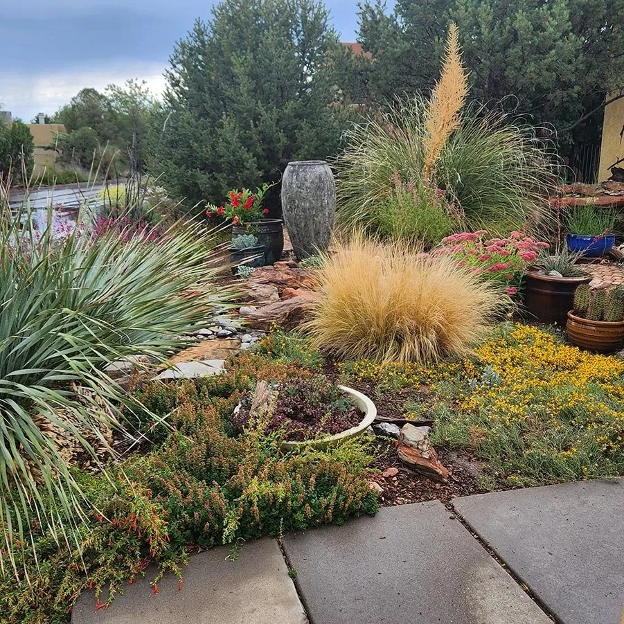 Expert landscape installation in Albuquerque, NM by Solar Plexus