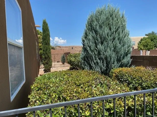 Reliable lawn care service in Albuquerque, NM - Solar Plexus Yard Care & Landscape