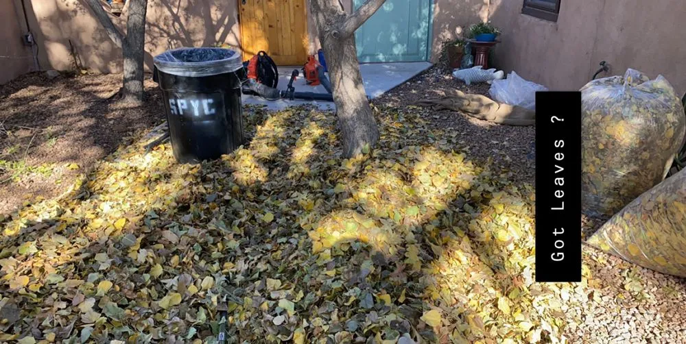 Expert lawn mowing service in Albuquerque, NM - Solar Plexus Yard Care & Landscape