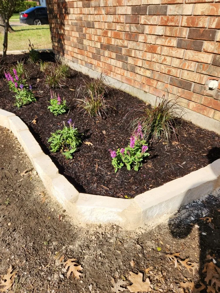 Custom lawn care service for homes across Lancaster, TX - Solar Scapes