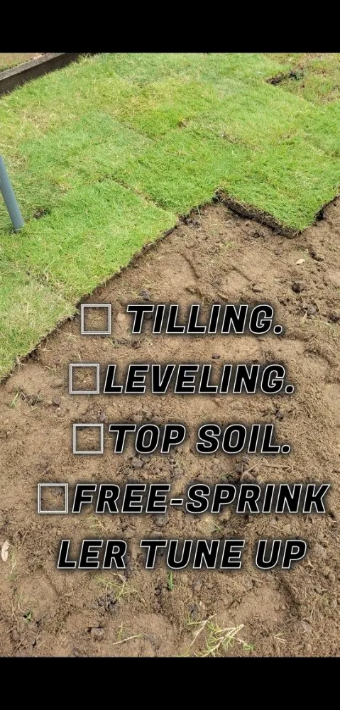 Affordable landscaping services near you in Lancaster, TX by Solar Scapes