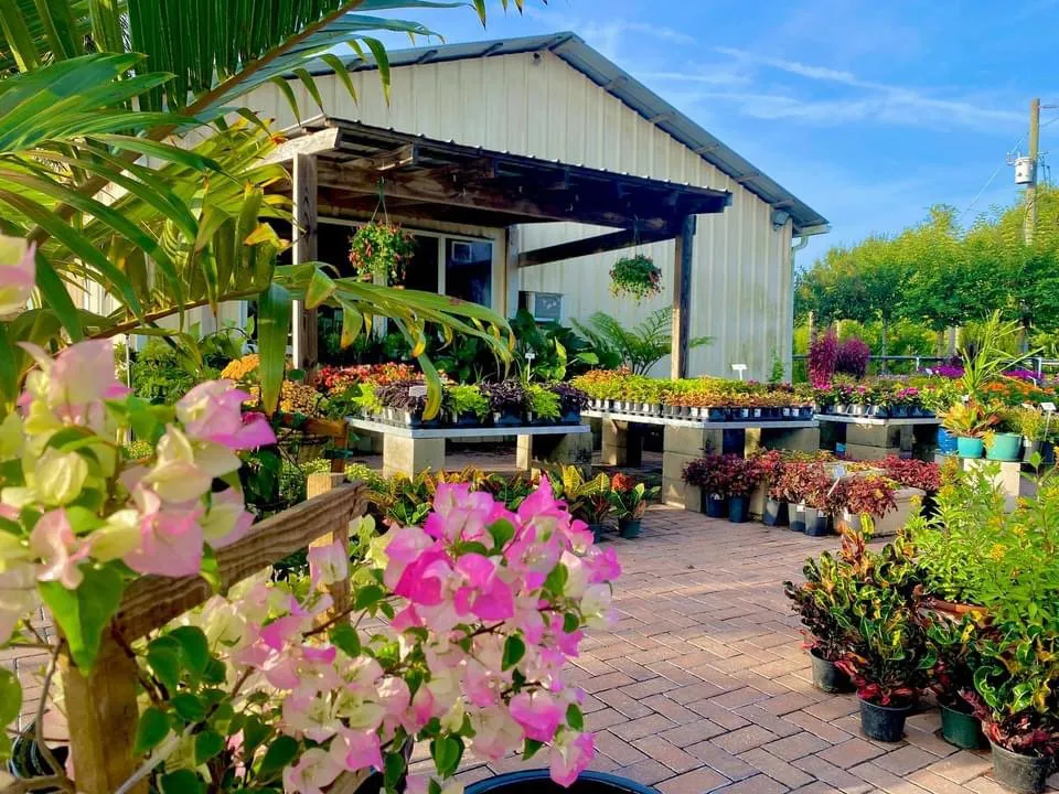 Expert garden landscaping in Bradenton, FL - Solara Garden Center