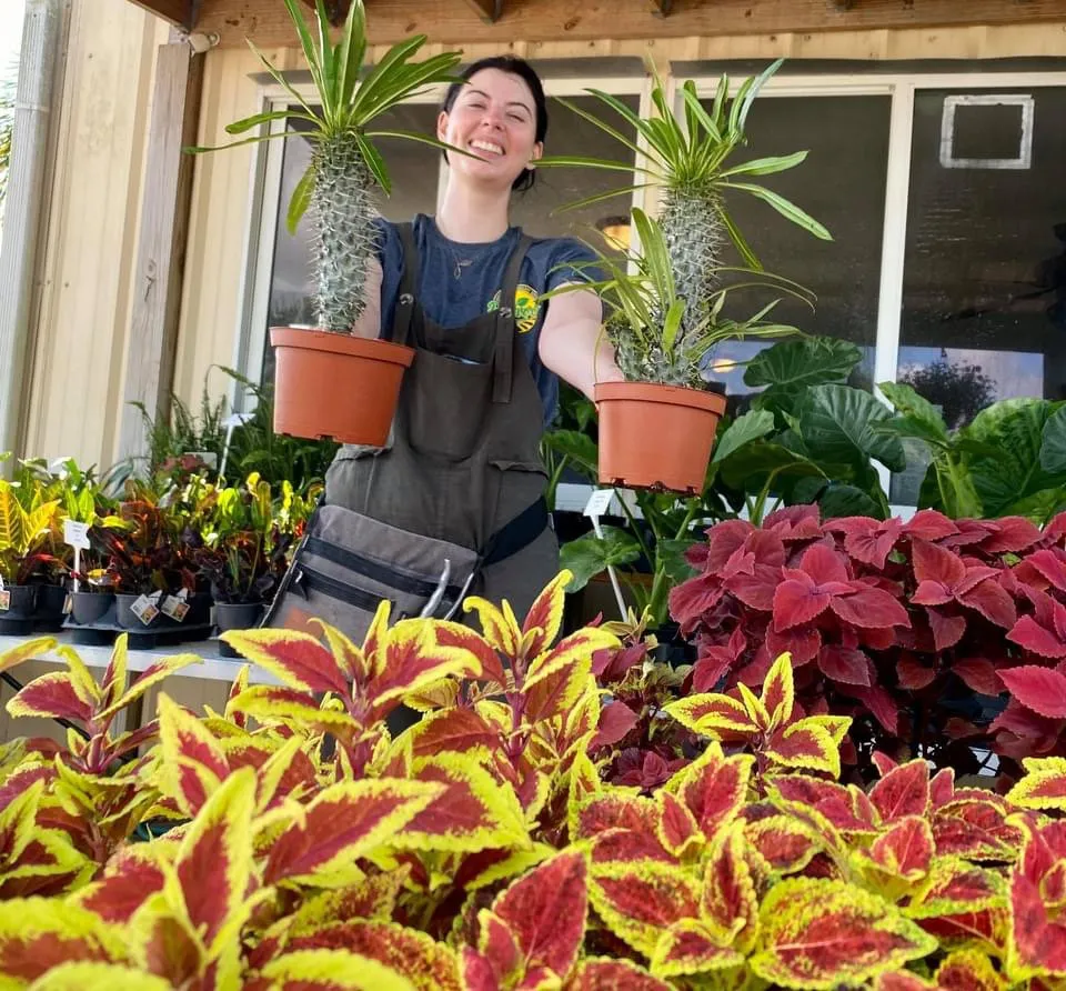 Local yard maintenance in Bradenton, FL - Solara Garden Center