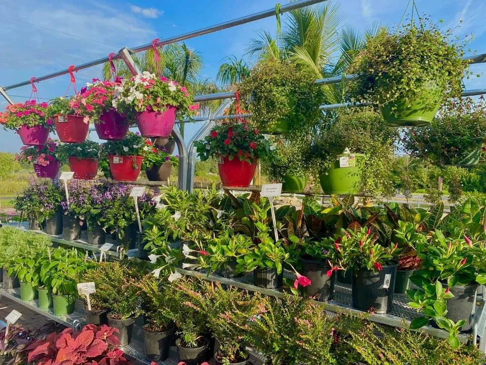 Custom lawn care service in Bradenton, FL by Solara Garden Center