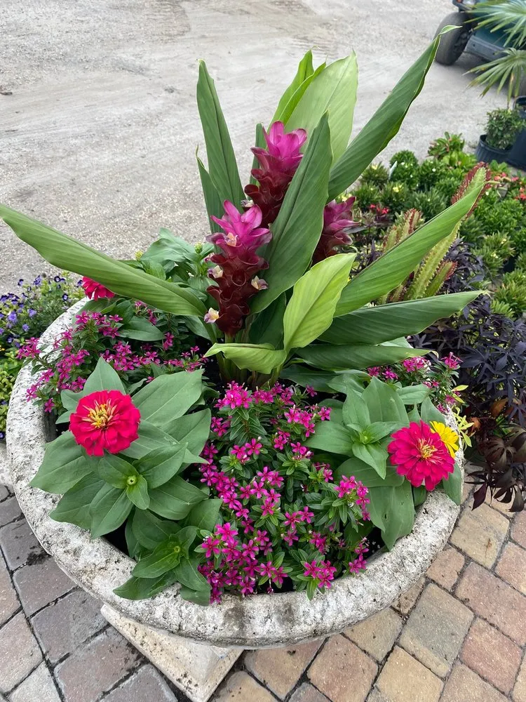 Professional landscape design in Bradenton, FL by Solara Garden Center