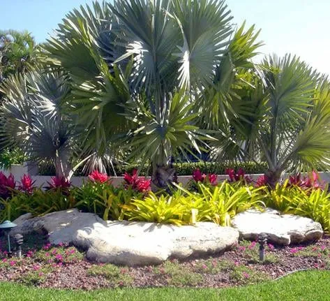 Affordable lawn care service for residential properties in Pinellas Park, FL by Solaras Landscape