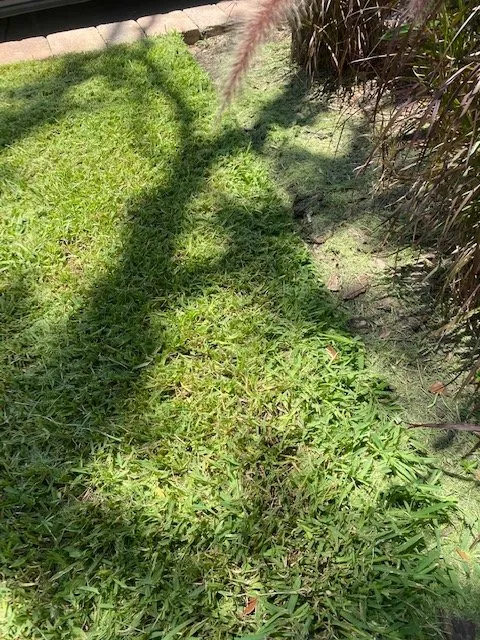 Custom outdoor landscaping experts serving Pinellas Park, FL - Solaras Landscape