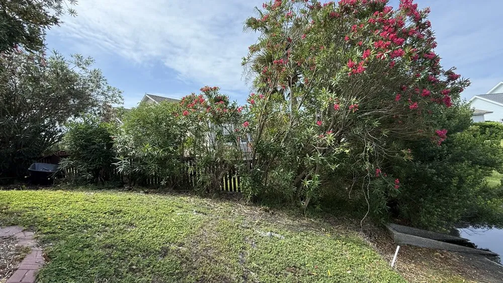 Top-rated yard cleanup service in Yulee, FL by Solaris Earthworks