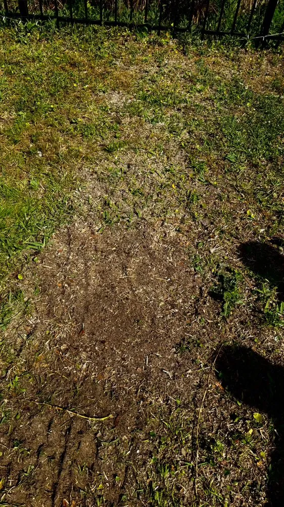 Custom lawn mowing service experts serving Yulee, FL - Solaris Earthworks