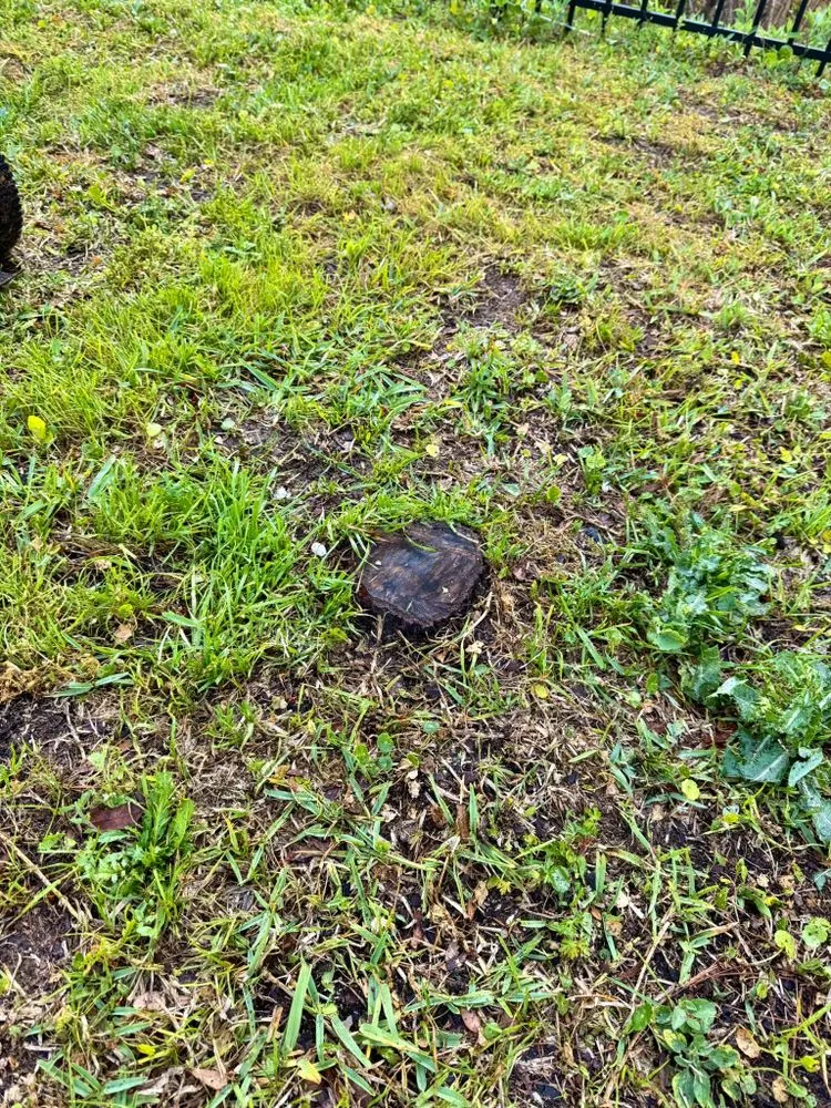 Professional landscape design with custom design across Yulee, FL - Solaris Earthworks