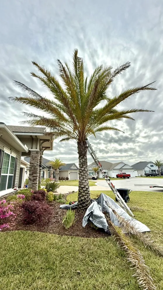 Trusted yard maintenance for beautiful yards across Yulee, FL - Solaris Earthworks