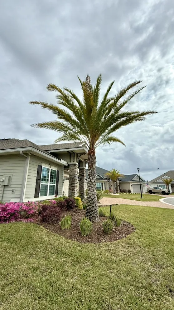 Local landscaping services experts serving Yulee, FL - Solaris Earthworks