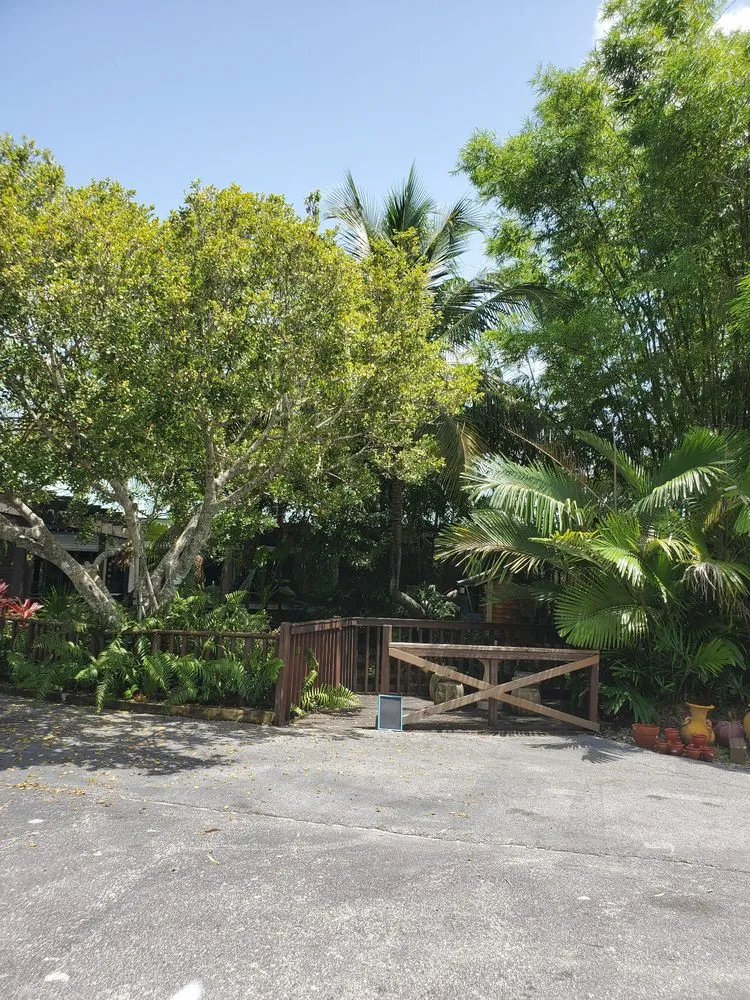 Custom yard maintenance in Fort Lauderdale, FL by Solaris Garden