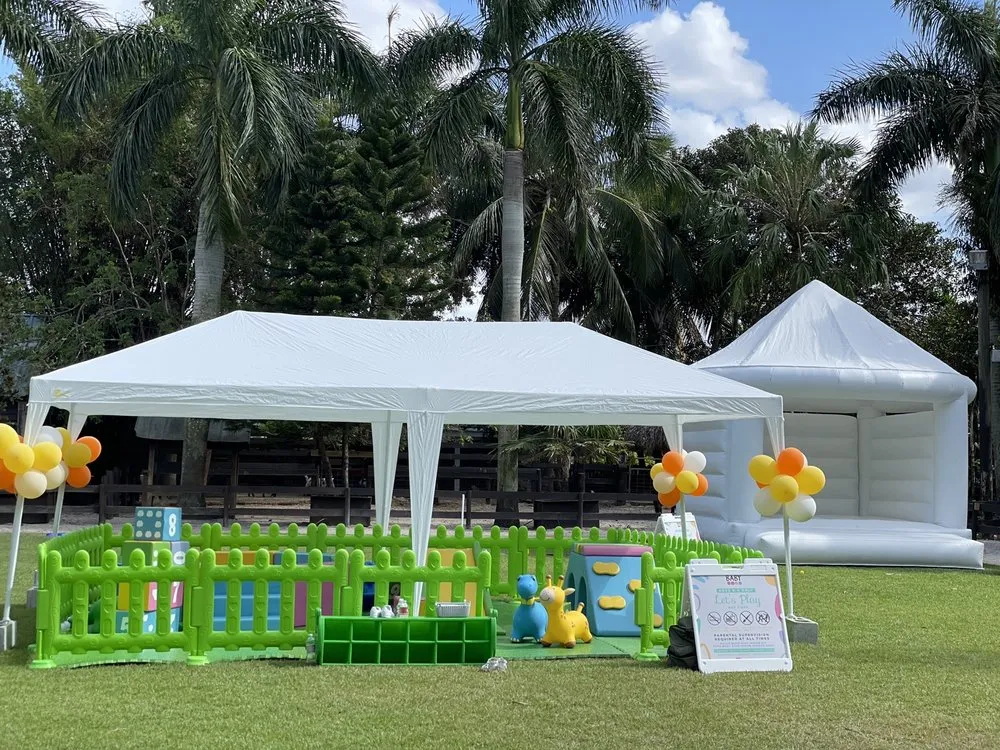 Affordable yard cleanup service in Fort Lauderdale, FL by Solaris Garden