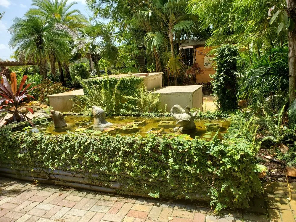 Reliable landscaping services experts serving Fort Lauderdale, FL - Solaris Garden