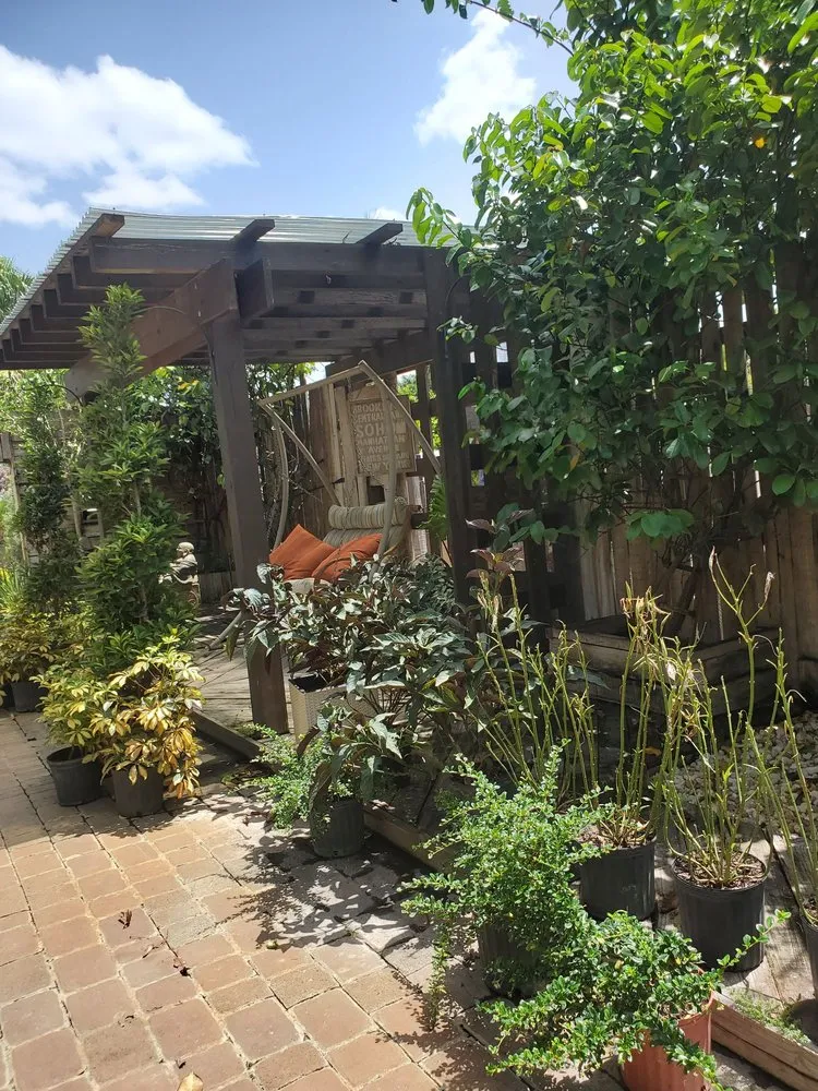 Local residential landscaping near you in Fort Lauderdale, FL by Solaris Garden