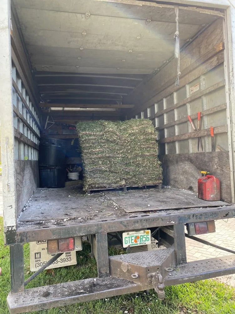 Trusted outdoor landscaping with custom design across Fort Lauderdale, FL - Solaris Garden