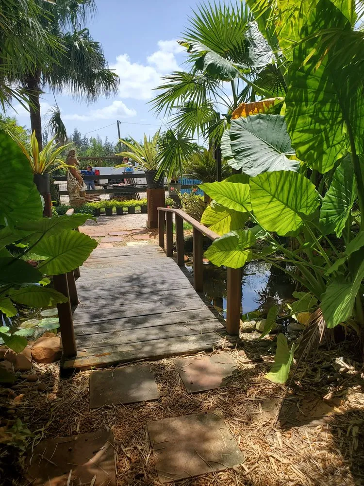 Top-rated outdoor landscaping in Fort Lauderdale, FL by Solaris Garden