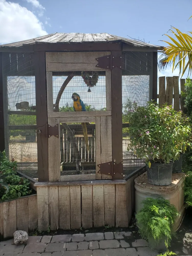 Affordable landscaping services for homes across Fort Lauderdale, FL - Solaris Garden