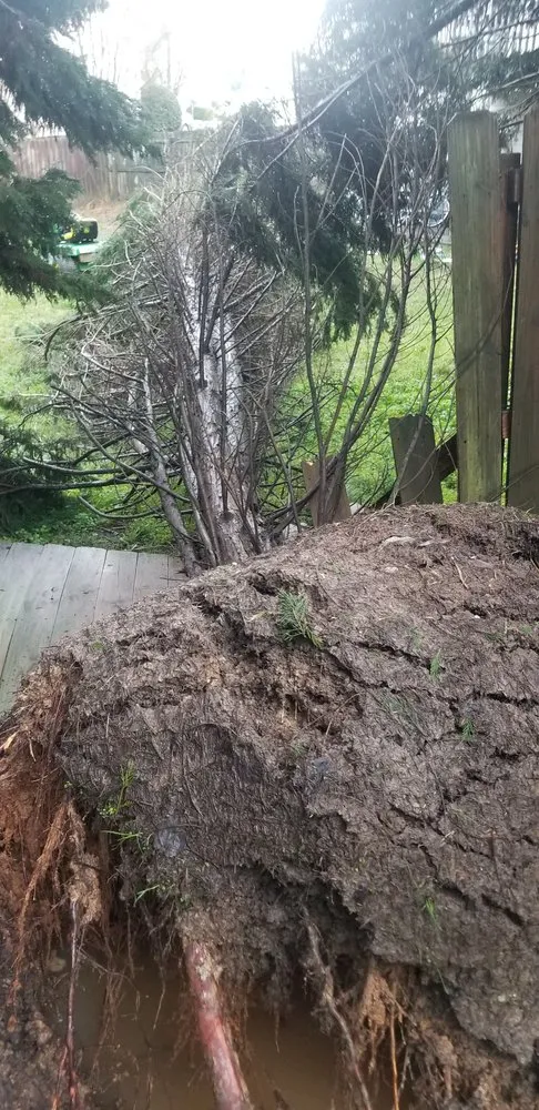 Local residential landscaping for residential properties across Acworth, GA - Solazzo's Grading & Hauling