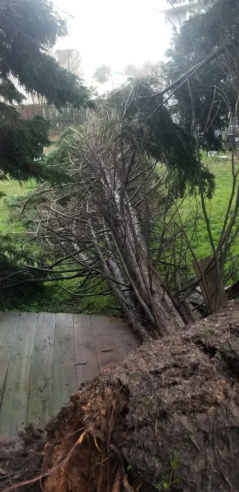 Reliable lawn mowing service experts serving Acworth, GA - Solazzo's Grading & Hauling