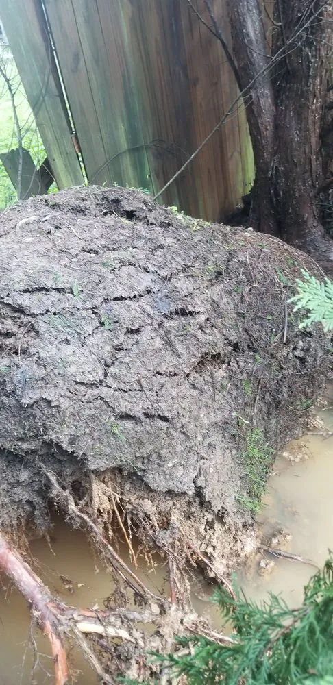 Top-rated landscape design in Acworth, GA - Solazzo's Grading & Hauling