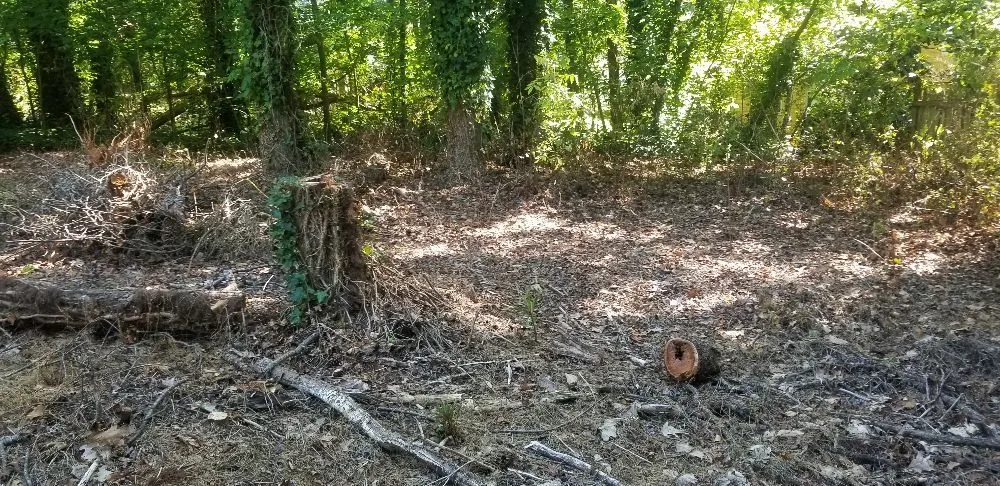 Professional landscape design for year-round maintenance across Acworth, GA - Solazzo's Grading & Hauling