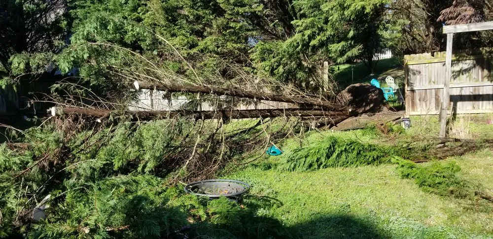 Top-rated outdoor landscaping in Acworth, GA by Solazzo's Grading & Hauling