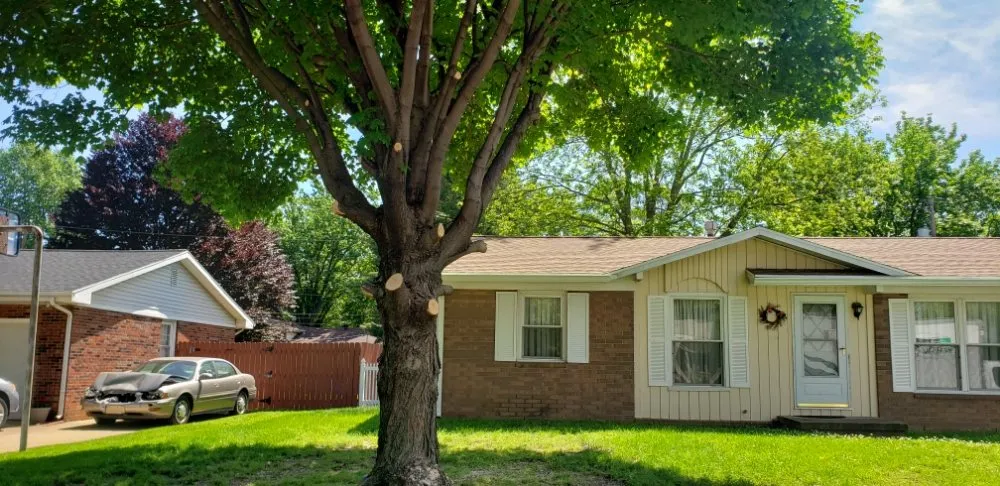 Trusted outdoor landscaping in Newburgh, IN by Soldier Lawn & Tree