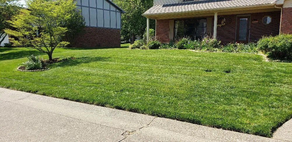 Reliable yard cleanup service with custom design in Newburgh, IN by Soldier Lawn & Tree