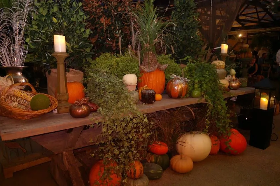 Local outdoor landscaping near you in Union City, TN by Soleil Garden Center