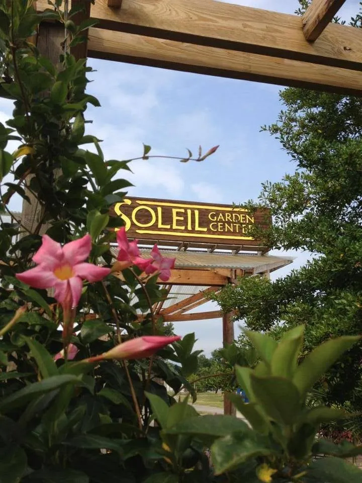 Trusted lawn care service for homes in Union City, TN by Soleil Garden Center