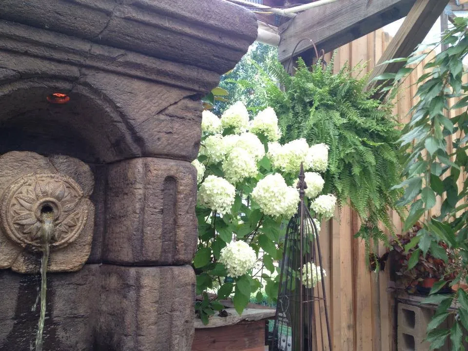 Expert landscaping services for residential properties in Union City, TN by Soleil Garden Center