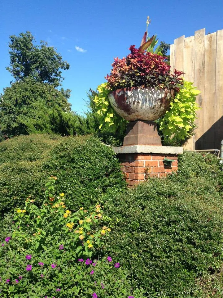 Expert lawn care service experts serving Union City, TN - Soleil Garden Center