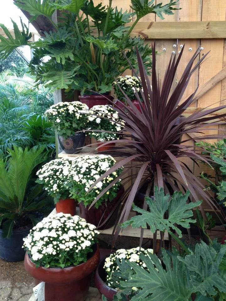 Custom lawn care service experts serving Union City, TN - Soleil Garden Center