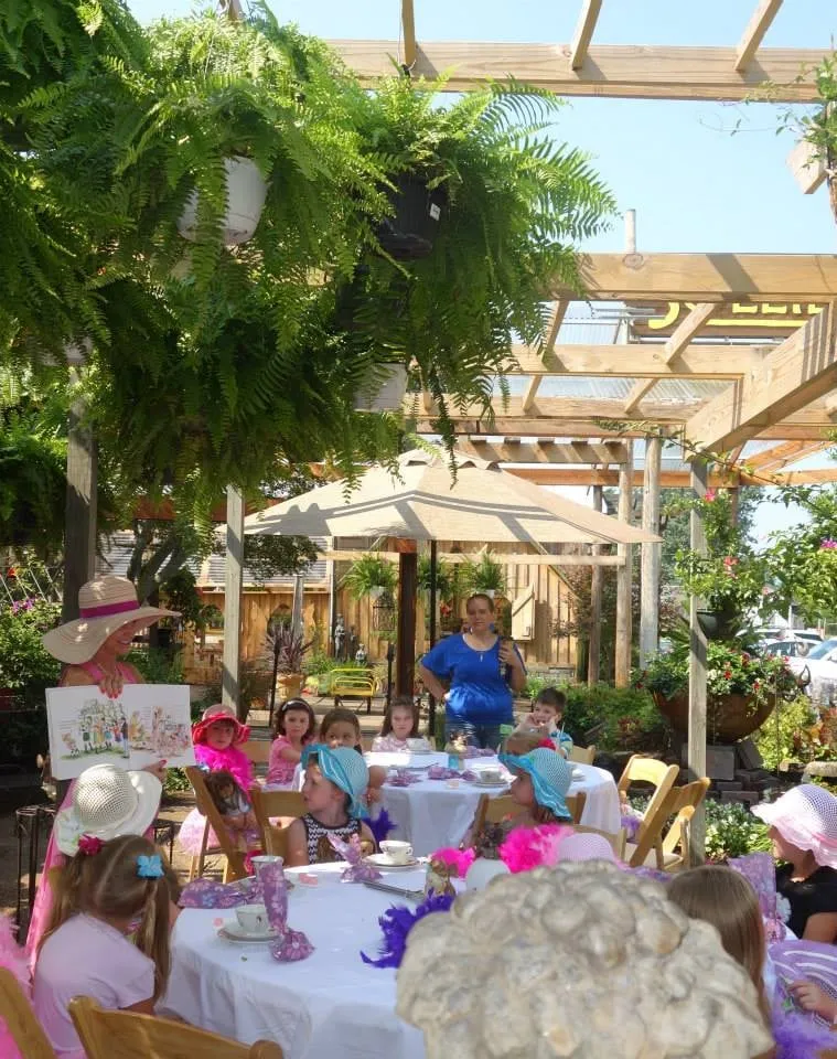 Expert lawn mowing service in Union City, TN - Soleil Garden Center