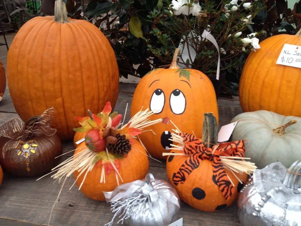 Professional outdoor landscaping for beautiful yards across Union City, TN - Soleil Garden Center