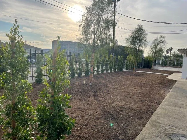 Top-rated landscape installation for year-round maintenance across Huntington Beach, CA - Solena Landscape