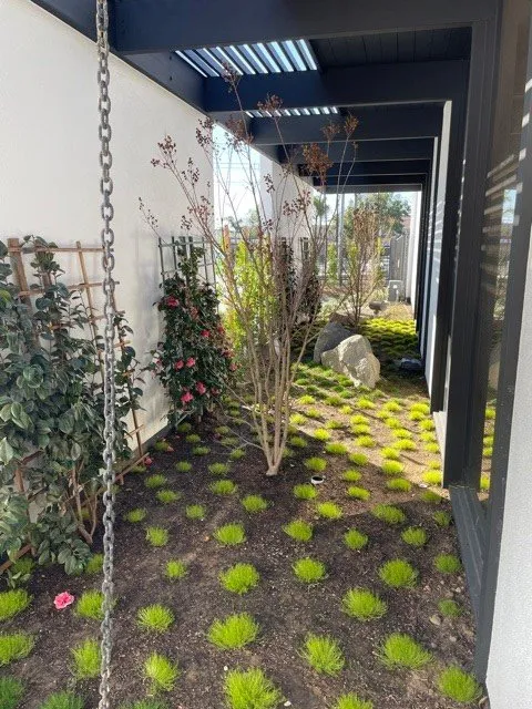 Affordable lawn mowing service in Huntington Beach, CA by Solena Landscape