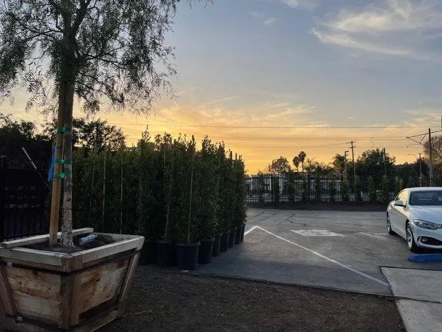 Reliable residential landscaping in Huntington Beach, CA by Solena Landscape