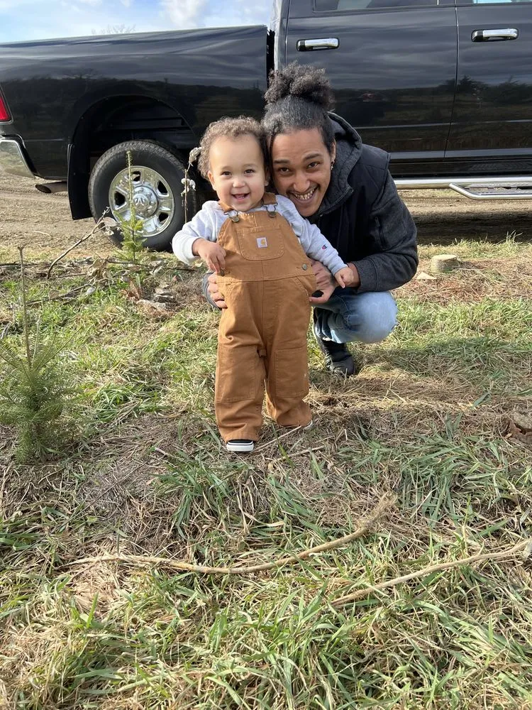 Affordable landscaping services for beautiful yards in Essex, VT by Soler Family Property Maintenance