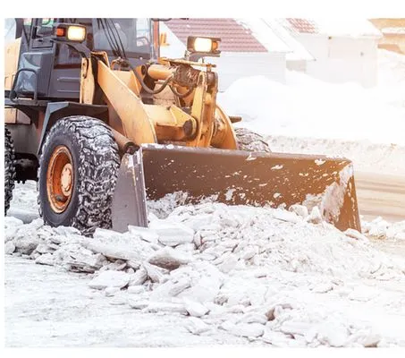 Soler Family Property Maintenance