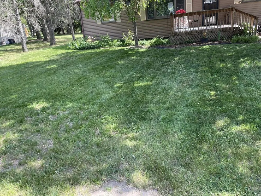 Top-rated outdoor landscaping for outdoor upgrades across St. Joseph, MI - Soler Lawn Care