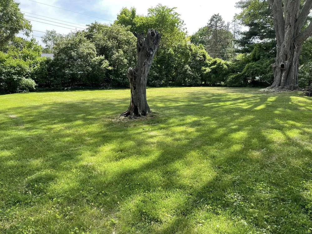 Expert yard cleanup service for homes across St. Joseph, MI - Soler Lawn Care